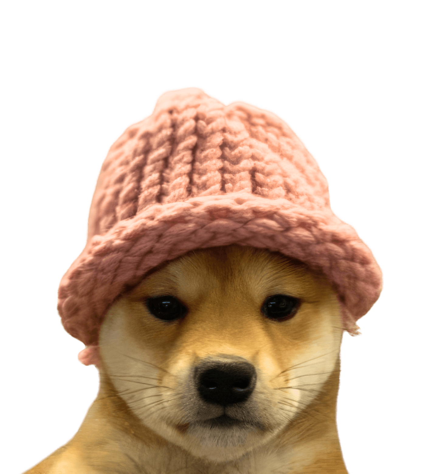 PFP Generator Preview